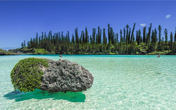 Zoom sur votre programme