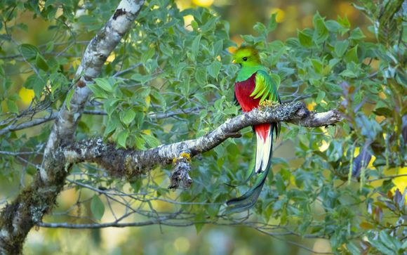 Mettez une option sur l