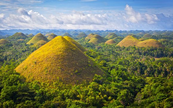 Zoom sur votre programme