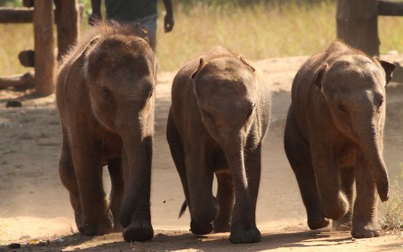 Zoom sur votre programme