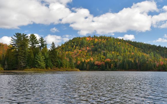 Zoom sur votre programme