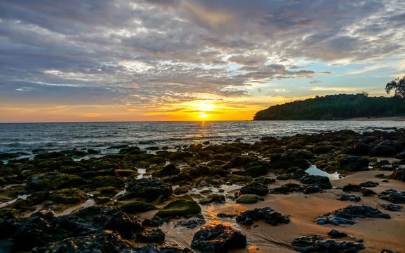 Zoom sur votre programme