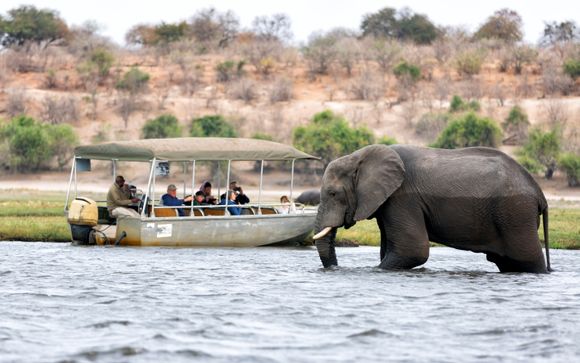 Mettez une option sur l