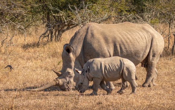 Mettez une option sur l