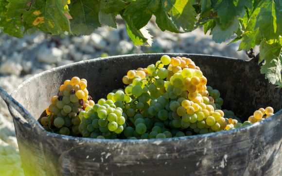 Mettez une option sur l