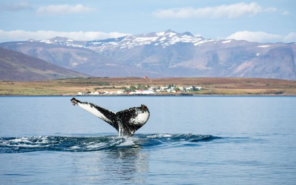 Zoom sur votre programme