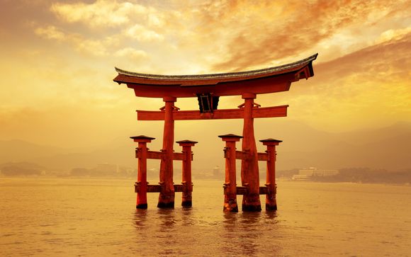 Zoom sur votre programme