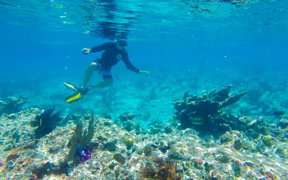 Journée dans les Keys (offre 1) ou Journée à Key West avec snorkeling et observation des dauphins (offre 2) à partir de 6 nuits