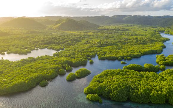 Zoom sur votre programme