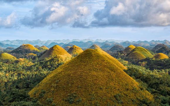 Mettez une option sur l