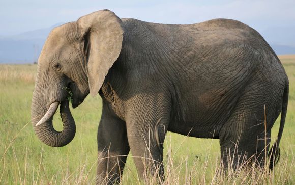 Mettez une option sur l