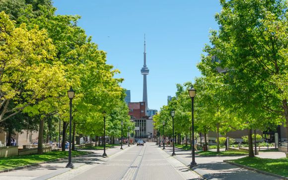 Visite guidée de Toronto en bus