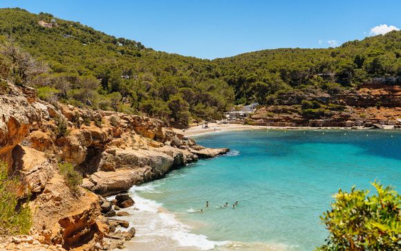 Mettez une option sur l