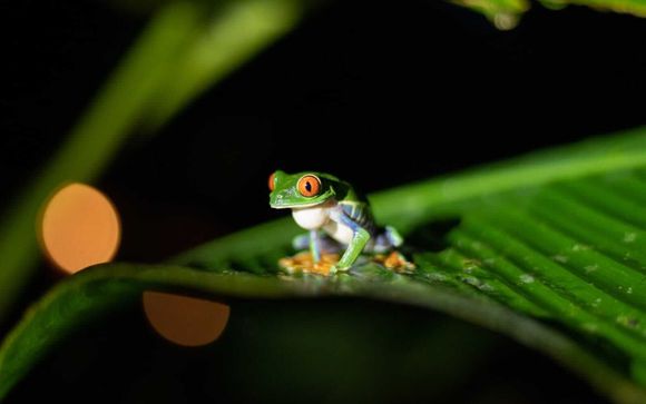 Pour votre confort durant l'autotour