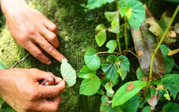 Mettez une option sur l