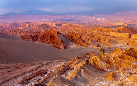 Zoom sur votre programme