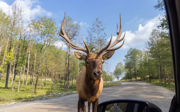 Vos options incluses pour plus d