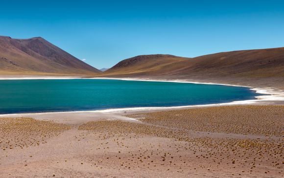 Mettez une option sur l