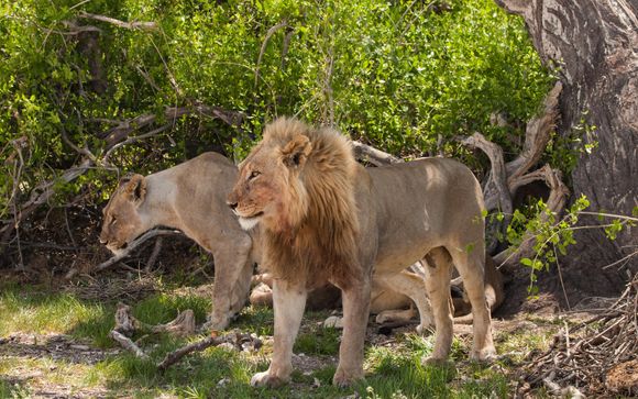 Zoom sur votre programme