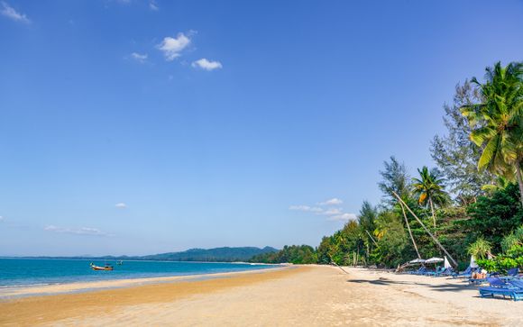 Zoom sur votre programme