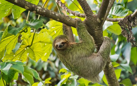 Votre circuit en un clin d'oeil