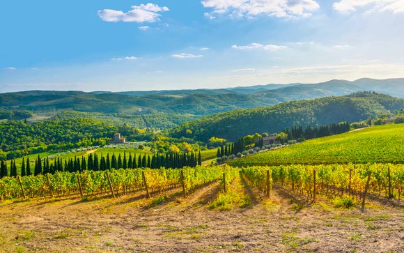 Zoom sur votre programme