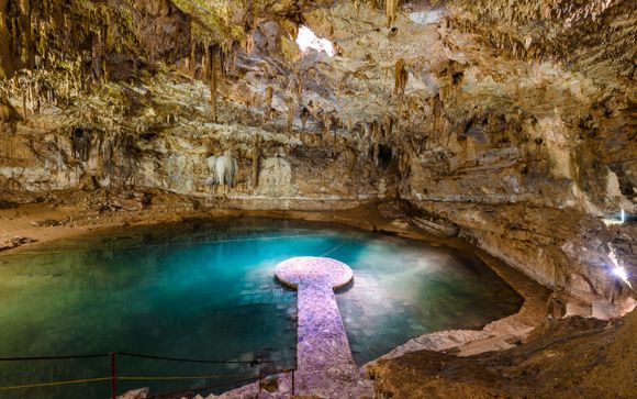 Vos options pour plus d