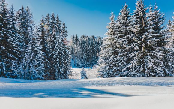 Cap sur les sommets !