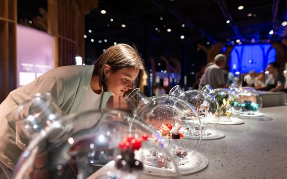 Découverte de la Cité des Climats et vins de Bourgogne : visite du parcours et dégustation