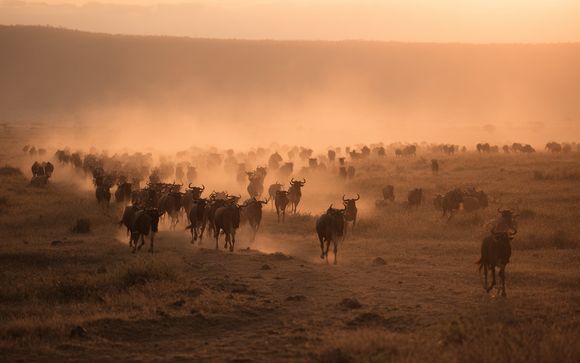 Rendez-vous... en Tanzanie