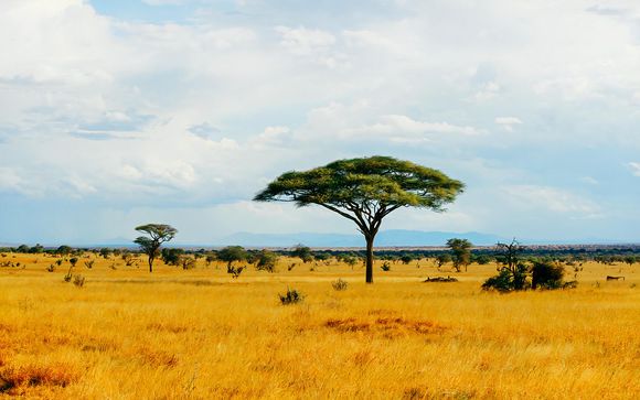 Rendez-vous... au Kenya