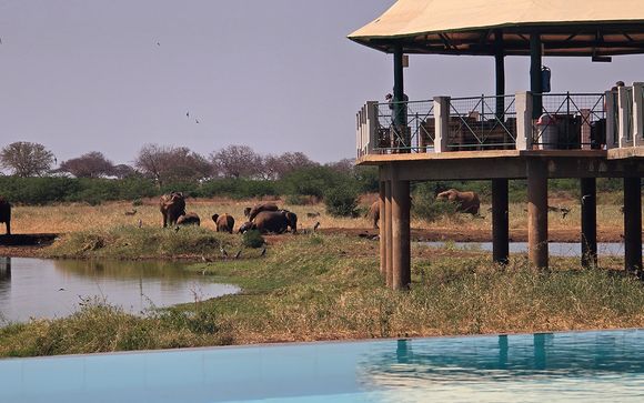 Pour votre confort durant votre nuit de safari