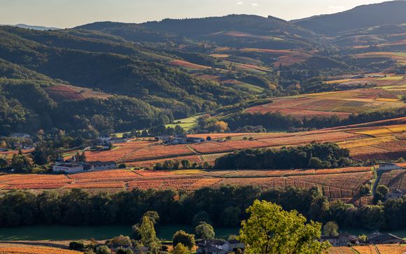 Rendez-vous... dans le Beaujolais