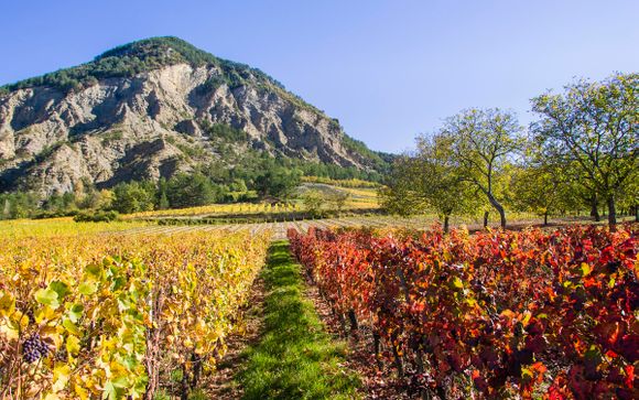 Rendez-vous... dans la Drôme