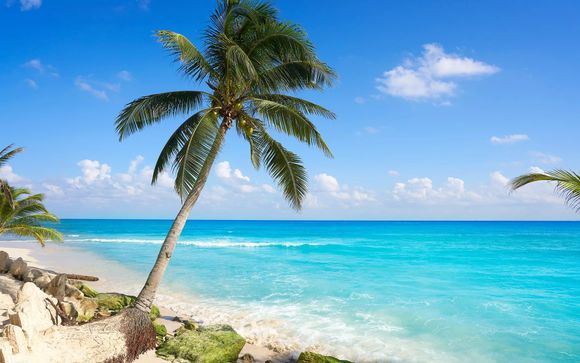 Rendez-vous à New-York et Playa del Carmen