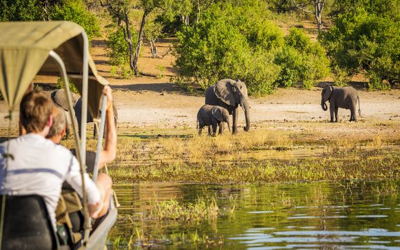 Excursion à Chobe (inclus pour les séjours à partir de 5 nuits)