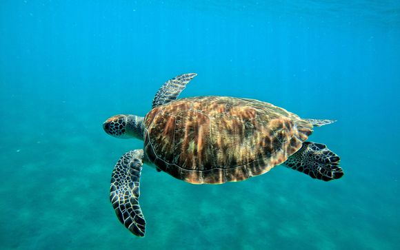 Mettez une option sur l