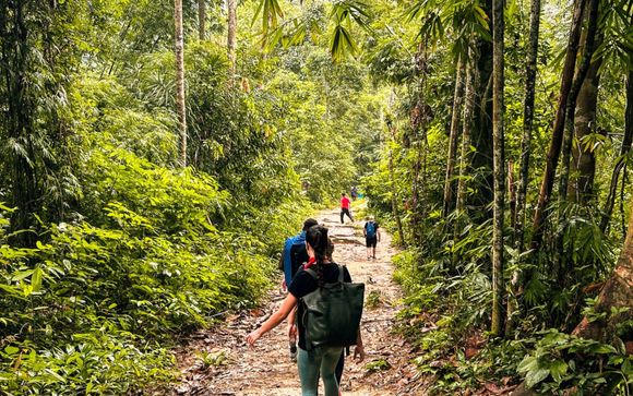 Votre expérience à Khao Sok