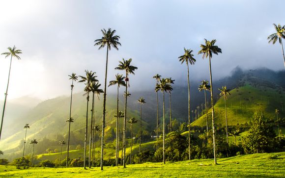 Votre destination