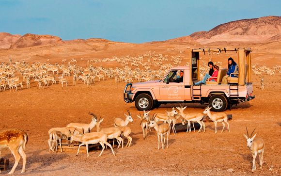 Rendez-vous... sur l’île de Sir Bani Yas