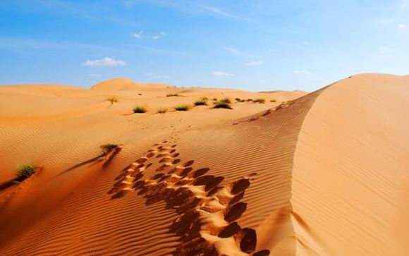 Mettez une option sur l’évasion à Abu Dhabi (offre 2)