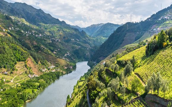 Vos excursions pour plus d