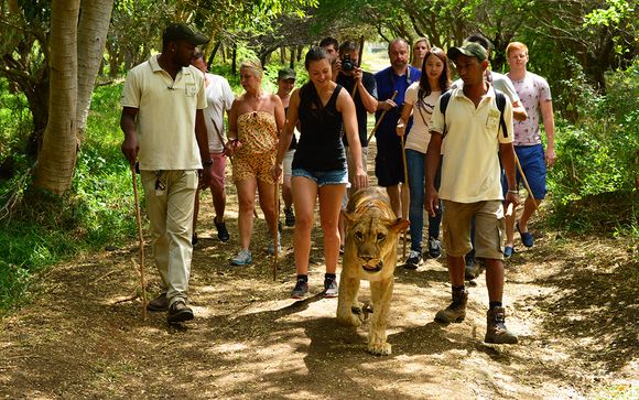Vos excursions pour plus d