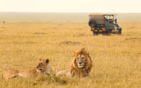 Circuit 1er regard sur le Kenya et extension balnéaire possible