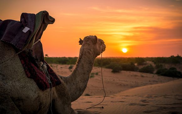 Rendez-vous... au Sénégal