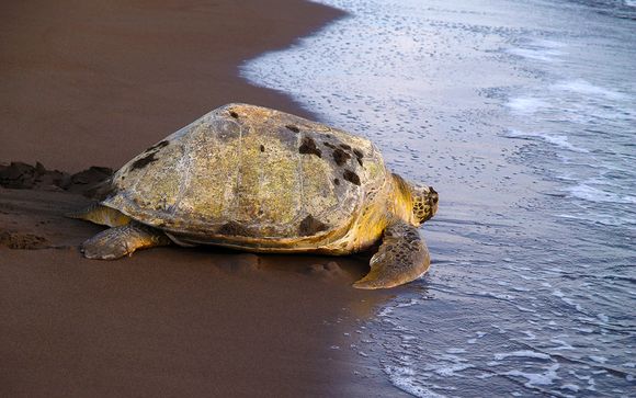 Zoom sur votre programme Grandeur nature