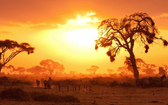 Zoom sur votre programme l'Essentiel Kenya - 7 jours/6 nuits