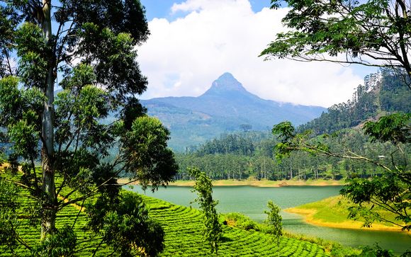 Rendez-vous... au Sri Lanka