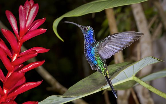 Zoom sur votre programme Grandeur nature