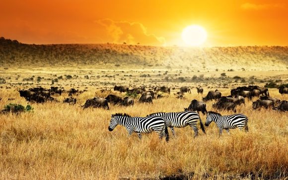 Rendez-vous... au Kenya